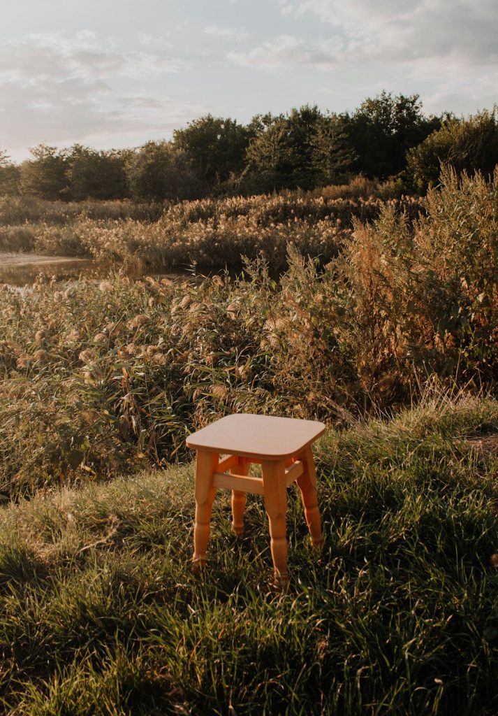 Luxury Polish Finished Rustic Chair - view 3