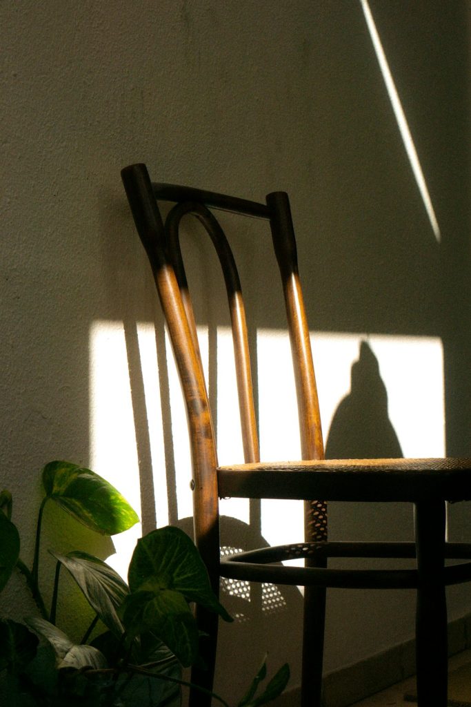 Modern Ergonomic Wooden Nordic Chair