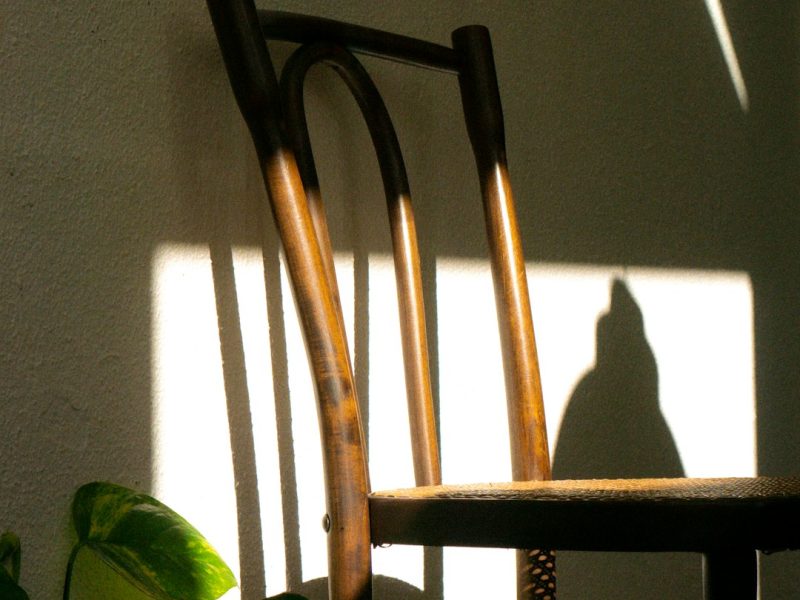 Modern Ergonomic Wooden Nordic Chair