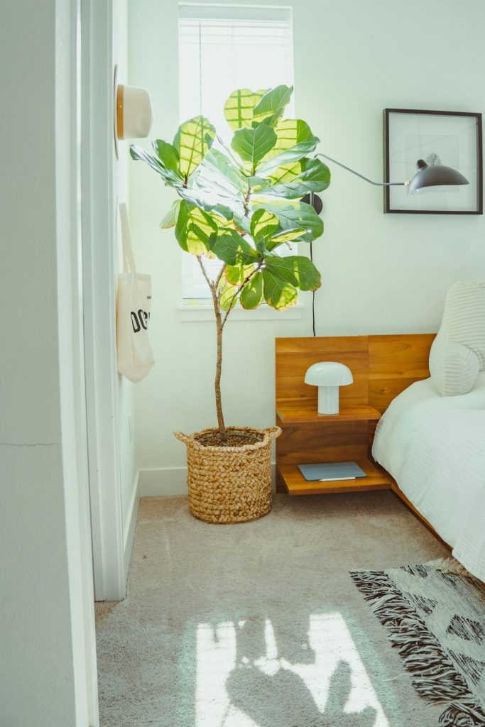 Minimalist Low-Profile Wooden Modern Bed