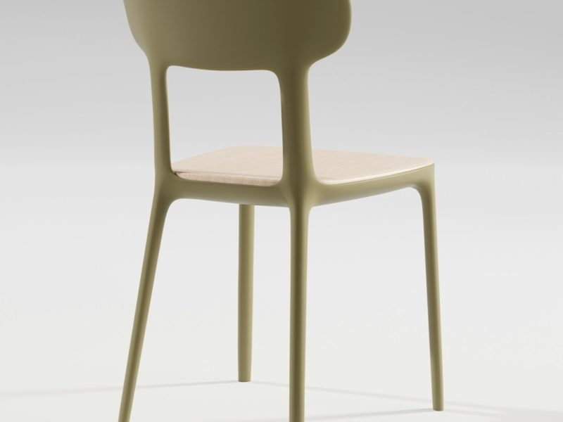 Modern Ergonomic Wooden Royal Chair