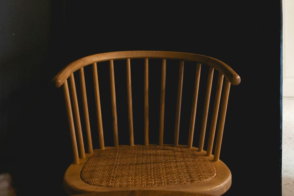 Modern Ergonomic Wooden Classic Chair