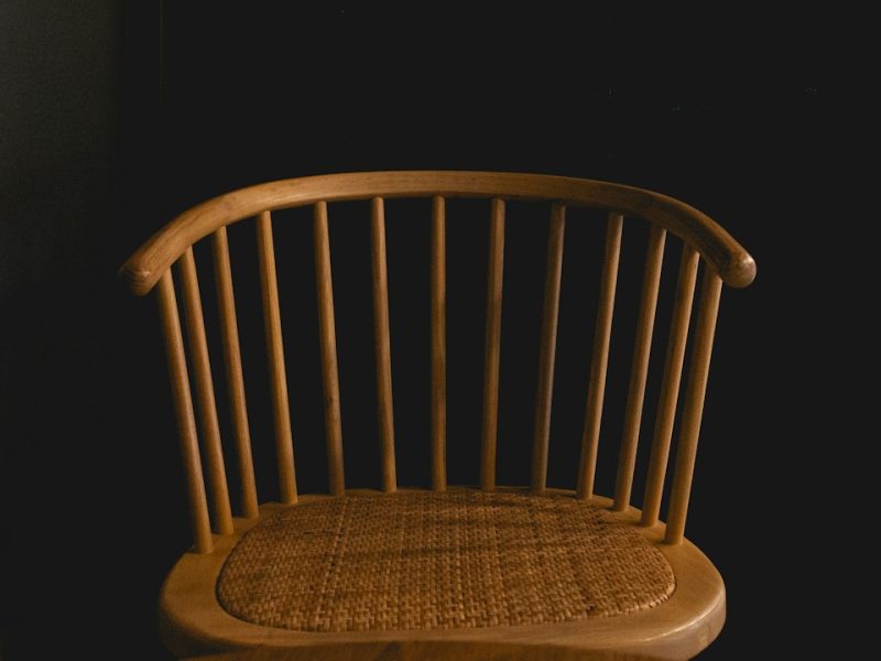 Modern Ergonomic Wooden Classic Chair