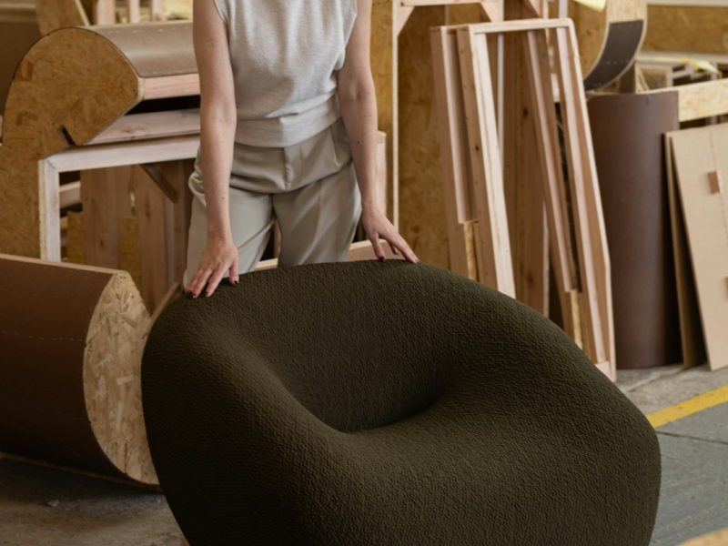 Modern Ergonomic Wooden Luxury Chair