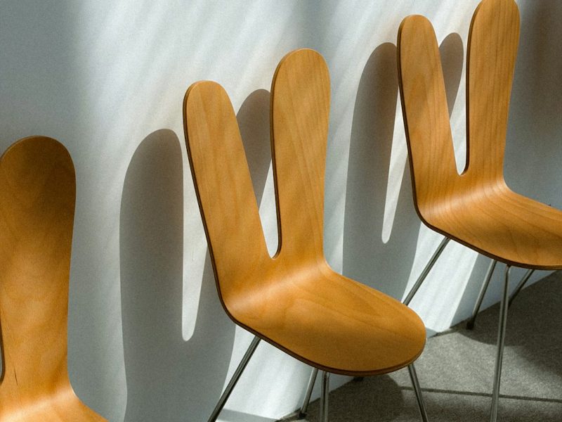 Modern Ergonomic Wooden Royal Chair