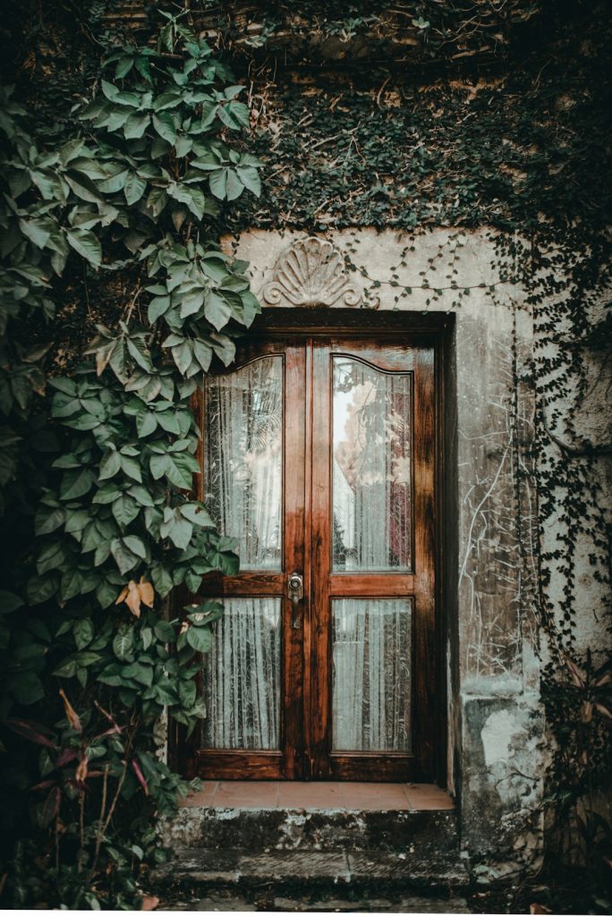 Modern Carved Sheesham Classic Interior Door - view 2