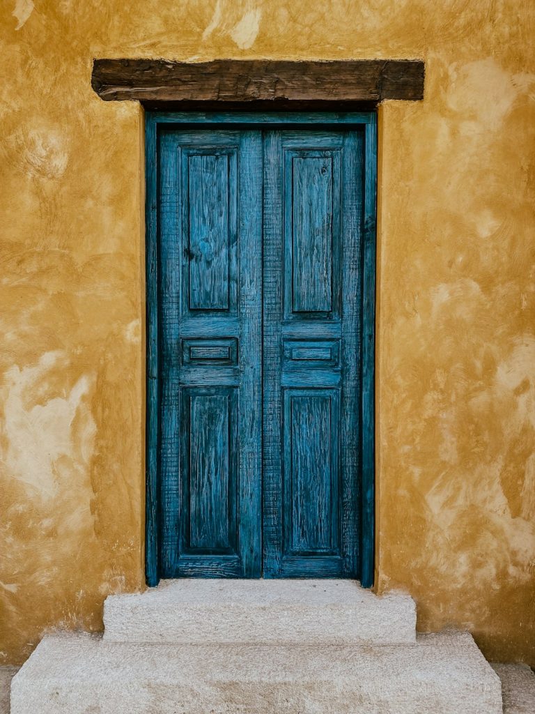 Modern Carved Sheesham Classic Interior Door