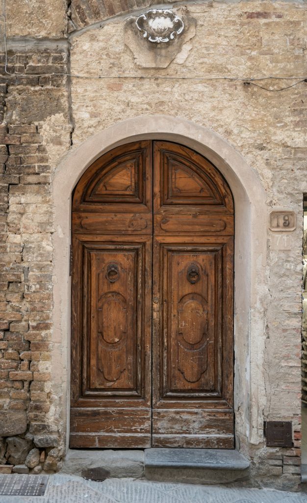 Modern Carved Sheesham Classic Interior Door - view 3