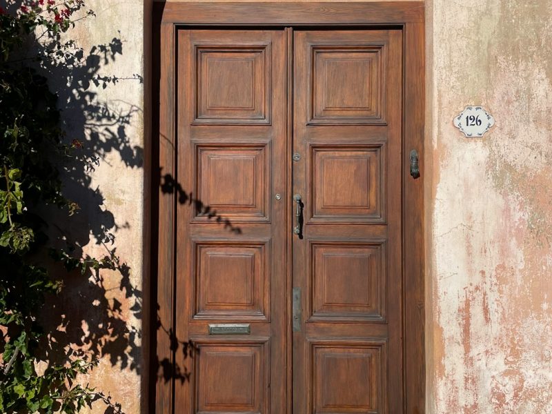 Luxury Veneer Finish Royal Panel Door