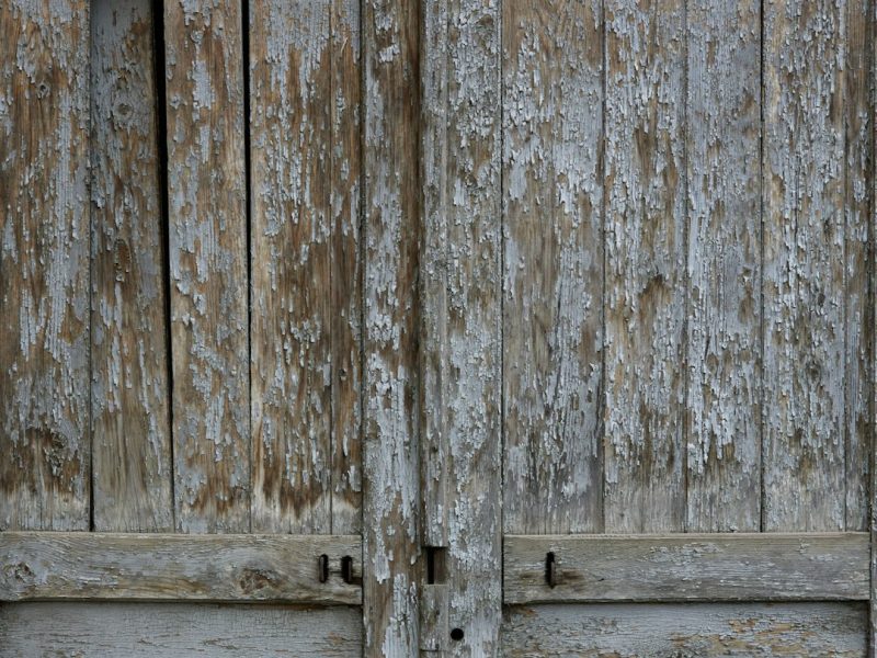Luxury Veneer Finish Classic Panel Door