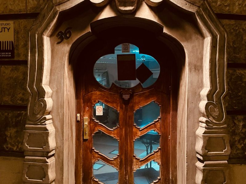Modern Carved Sheesham Rustic Interior Door