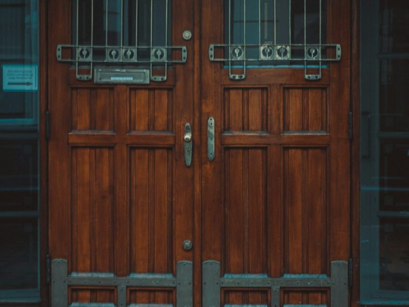 Luxury Veneer Finish Modern Panel Door