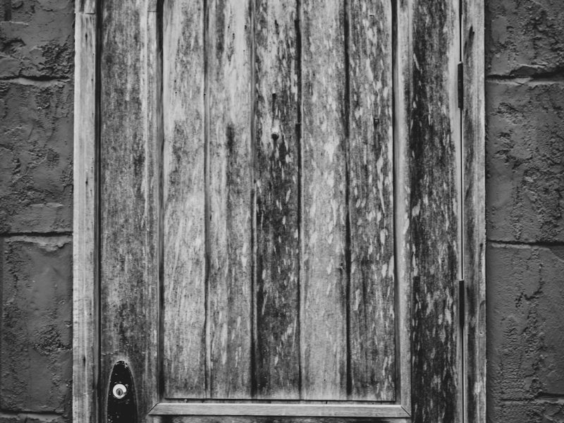 Modern Carved Sheesham Classic Interior Door