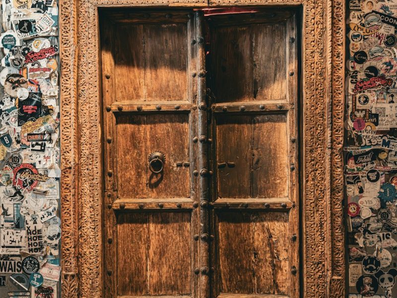 Modern Carved Sheesham Rustic Interior Door