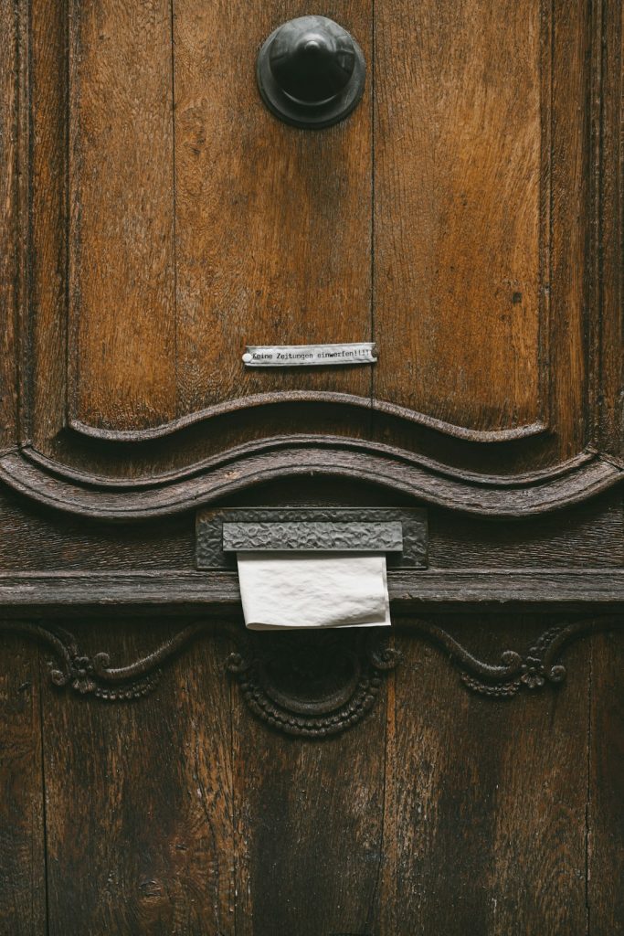 Modern Carved Sheesham Luxury Interior Door - view 3