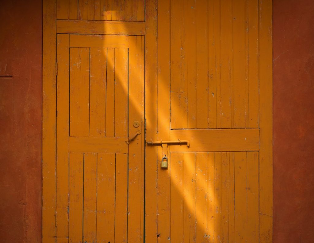 Luxury Veneer Finish Contemporary Panel Door - view 2