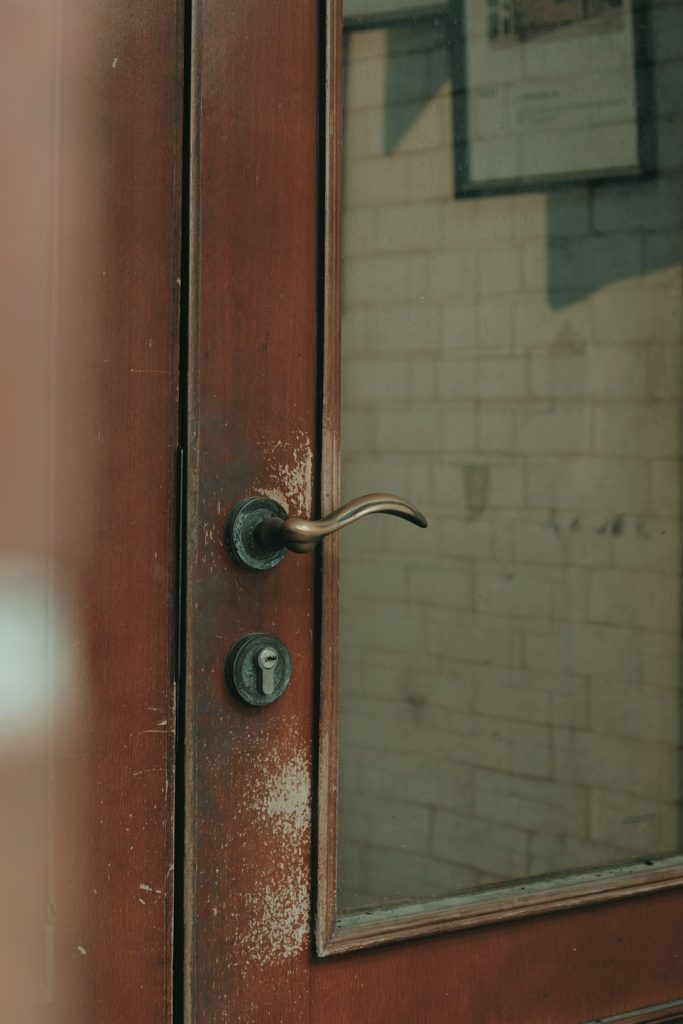 Modern Carved Sheesham Classic Interior Door - view 3