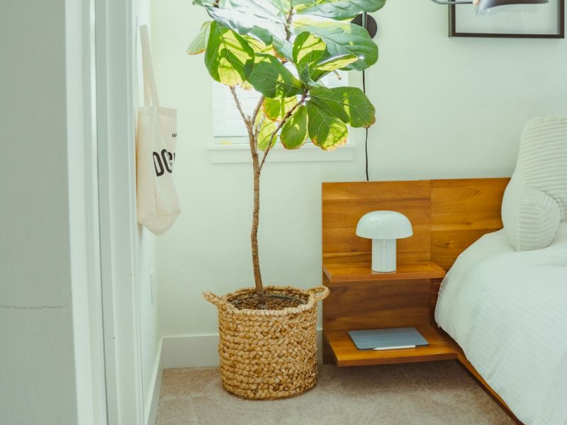 Minimalist Low-Profile Wooden Modern Bed