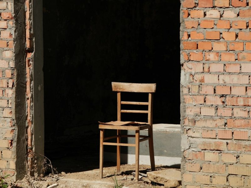 Luxury Polish Finished Contemporary Chair