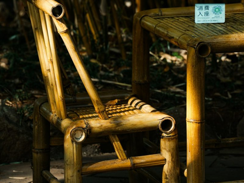Minimalist Executive Wooden Modern Chair