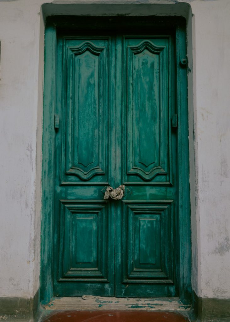 Solid Ash Wood Royal Main Entrance Door - view 3