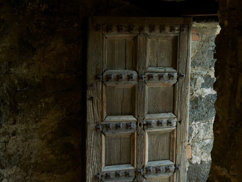 Modern Carved Sheesham Rustic Interior Door