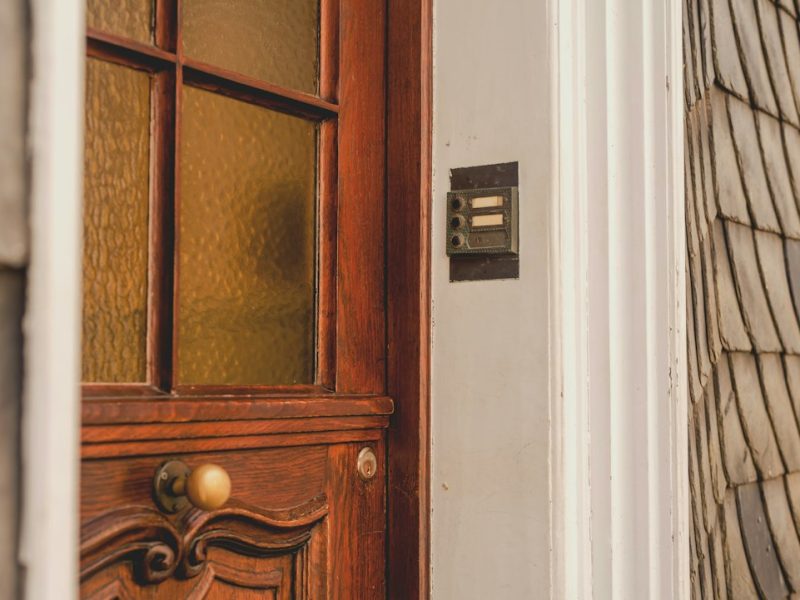 Modern Carved Sheesham Rustic Interior Door