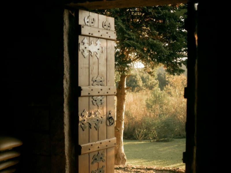 Modern Carved Sheesham Royal Interior Door