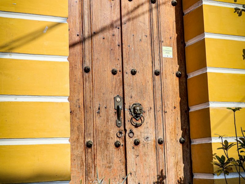 Modern Carved Sheesham Modern Interior Door