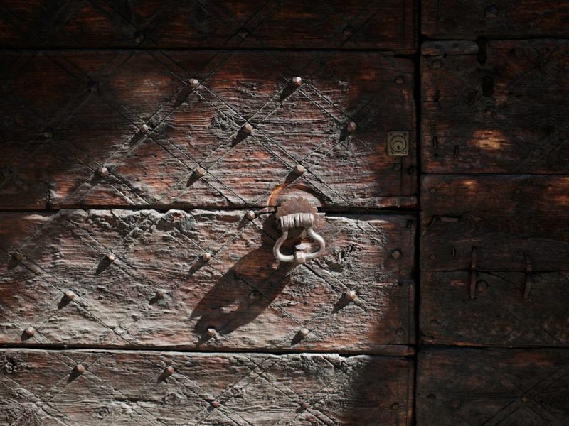 Modern Carved Sheesham Rustic Interior Door